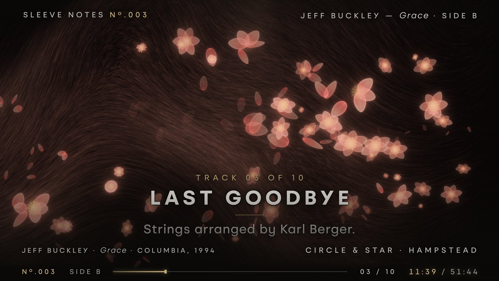 Last Goodbye — the screen in the room